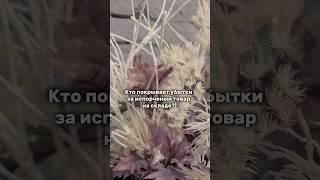 Испортили товар на складе маркетплейсов #ozon #wildberries #marketplace #sorts #youtubeshorts