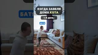 Когда завели КОТА | #morty #питбайк #морти #коты #скибидитуалет #tiktok #тикток #мемы