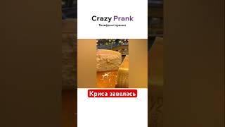 Криса завелась. #crazyprank #prank #callprank #пранкбот #пранк